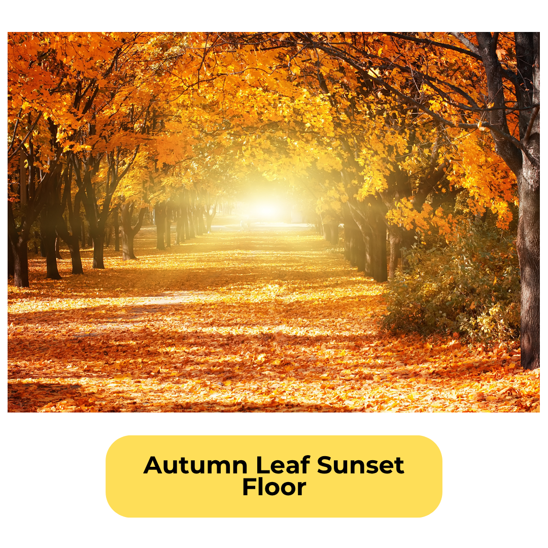 Autumn Leaf Sunset Floor