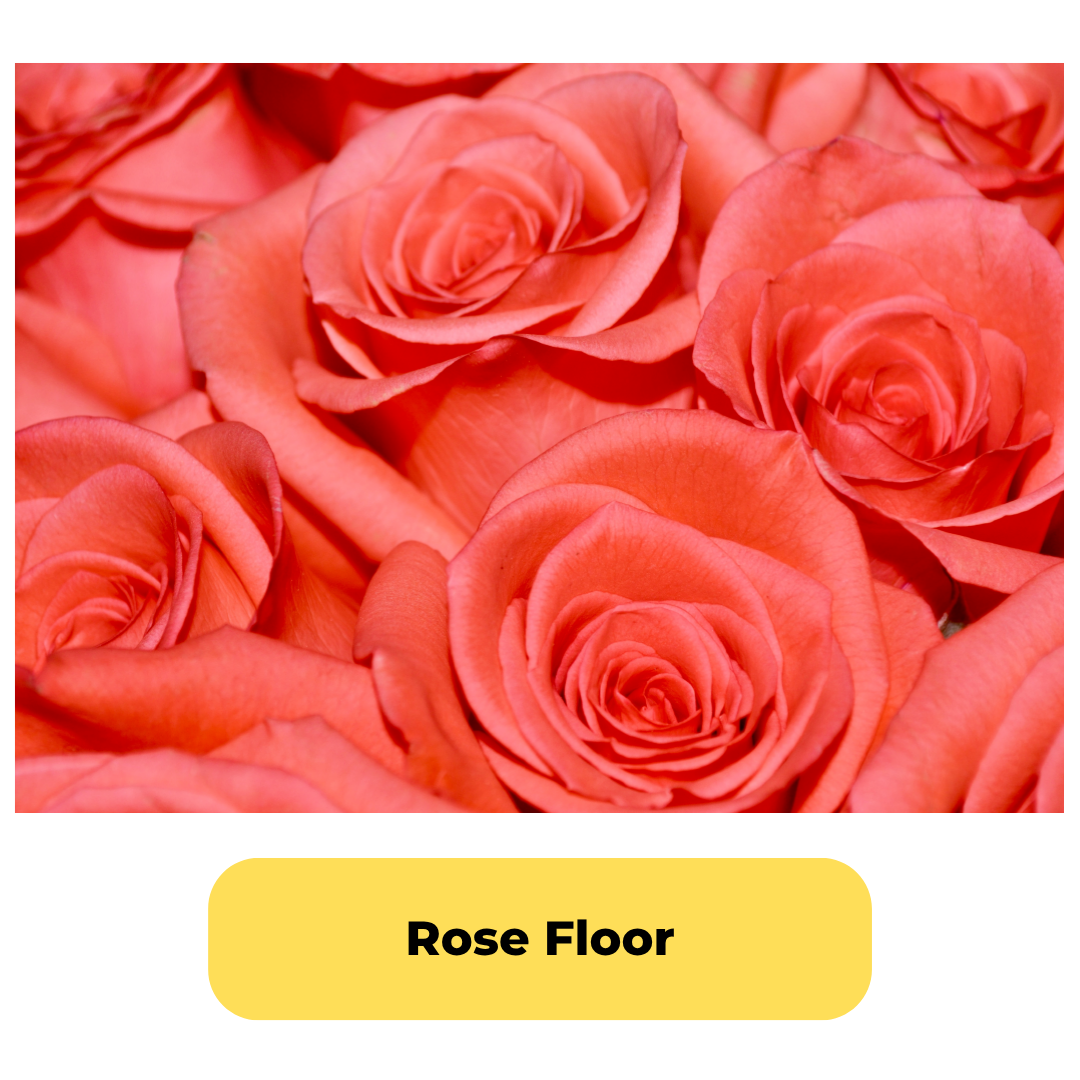 Rose Floor