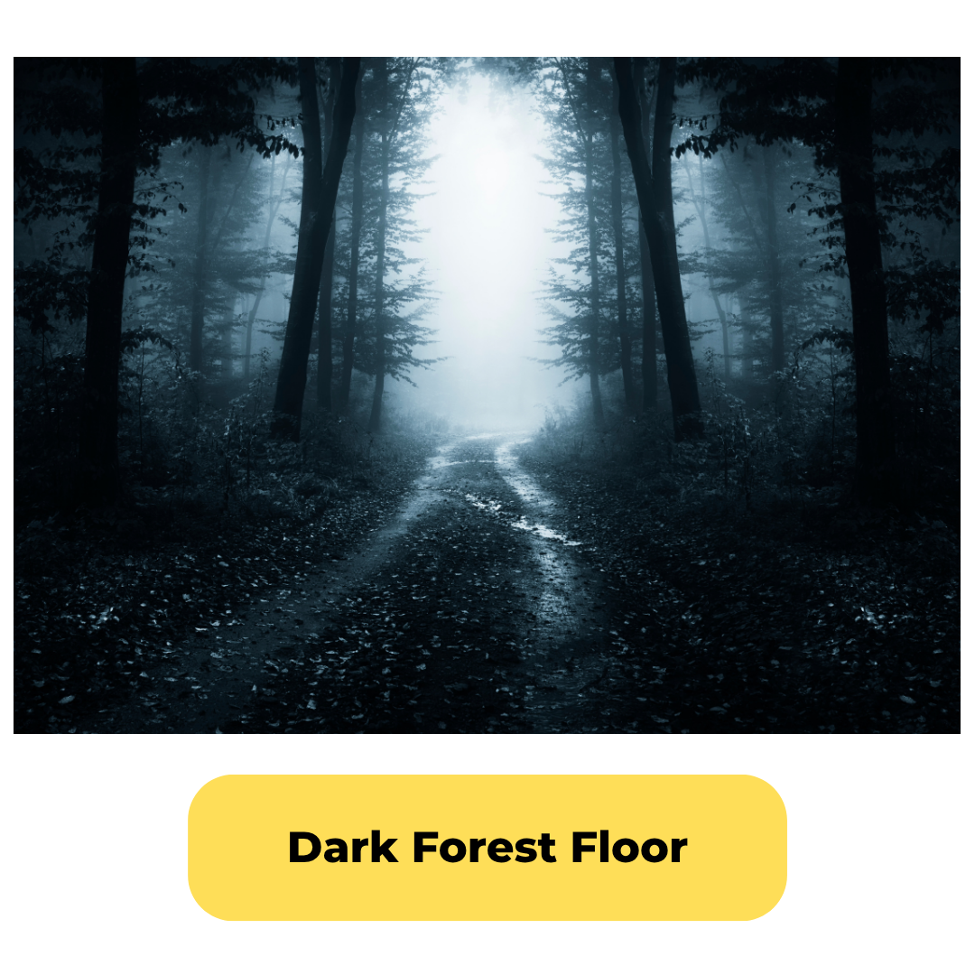 Dark Forest Floor