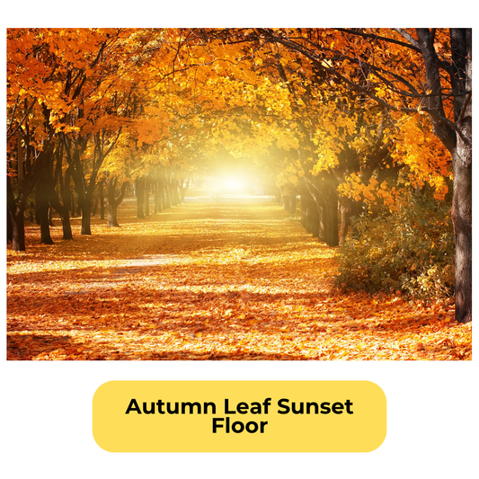 Autumn Leaf Sunset Floor